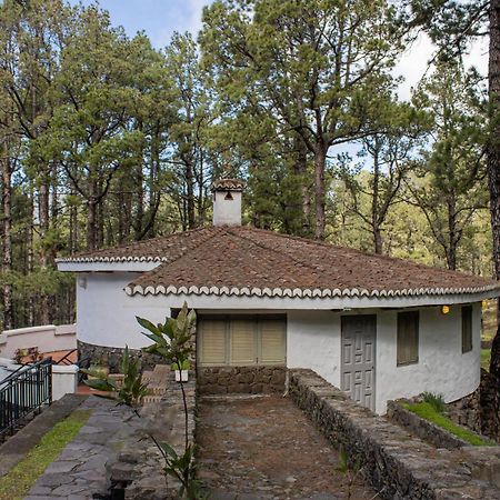 Vivienda Vacacional Finca La Redonda El Paso Zewnętrze zdjęcie